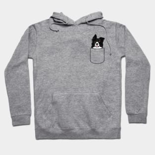 Border Collie In Pocket Hoodie